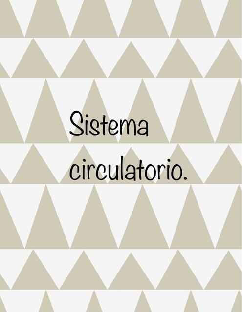 Patologías del sistema circulatorio.