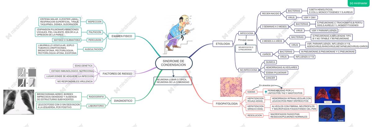 SINDROME DE CONDENSACION