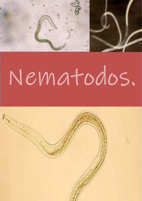 parasitologia; Nematodos. 