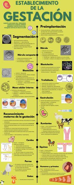 Establecimiento de la Gestación en Animales