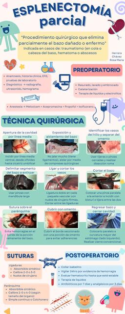 Esplenectomía parcial en veterinaria