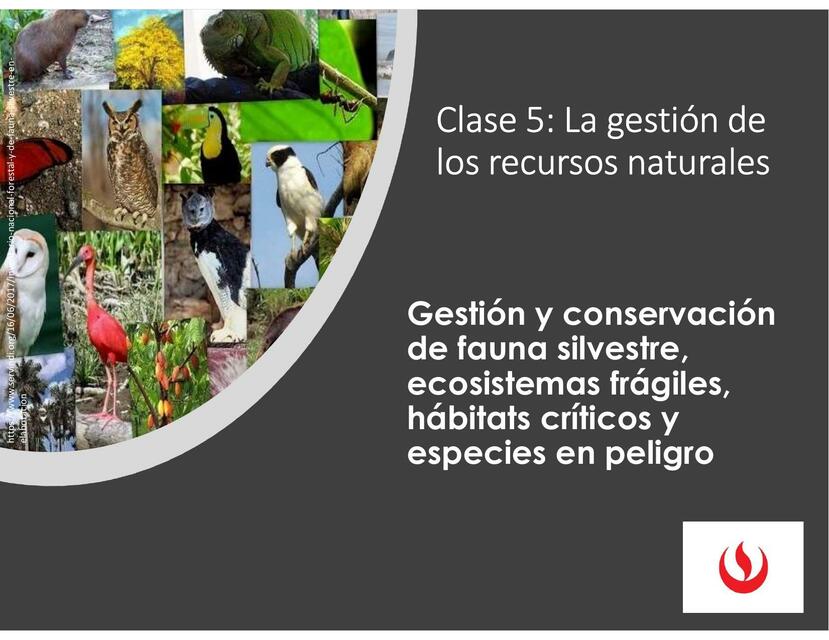 Flashcards de Clase 5 gestion y conservación recurso fauna | Por Evelyn ...
