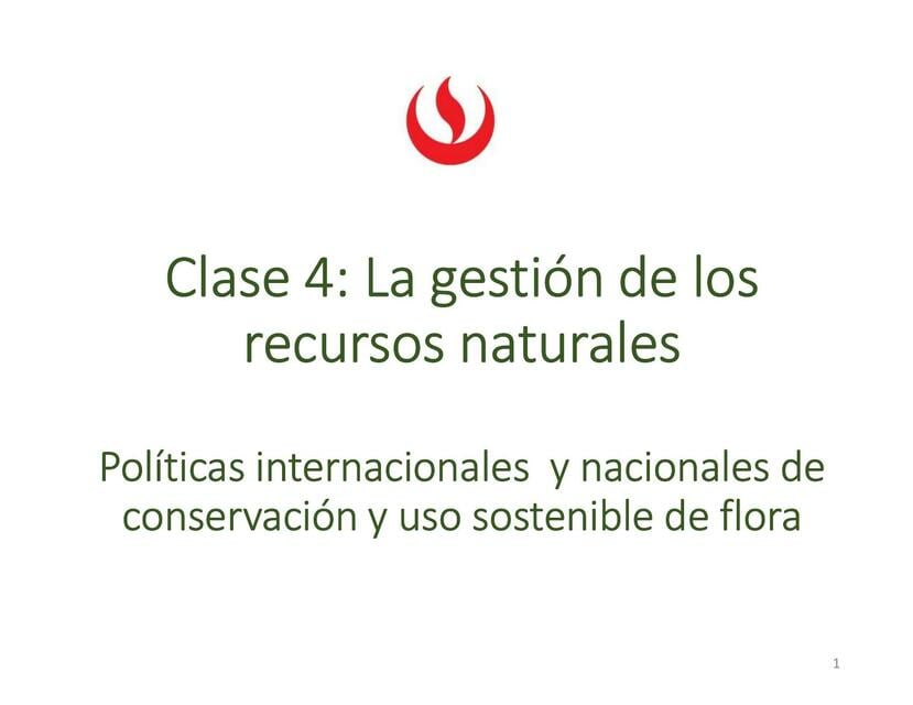 Clase 4 Políticas internacionales y nacionales | Evelyn Montes Valdez ...