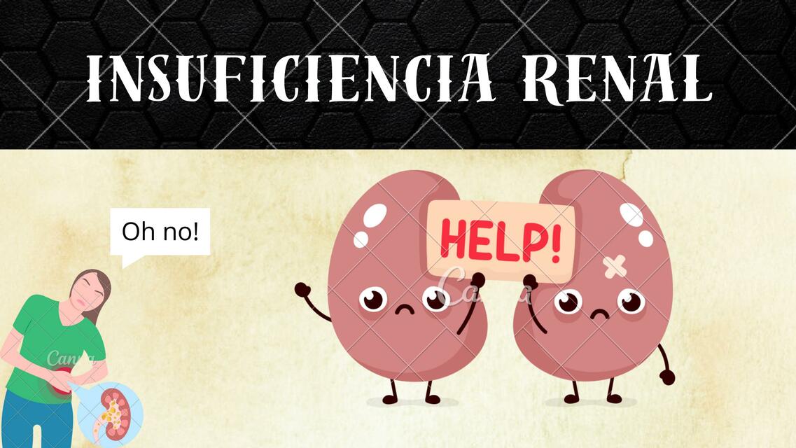 INSUFICIENCIA RENAL