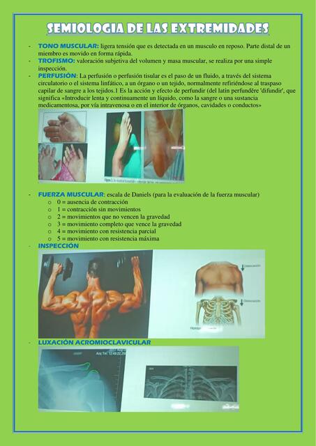 Semiología de las extremidades 