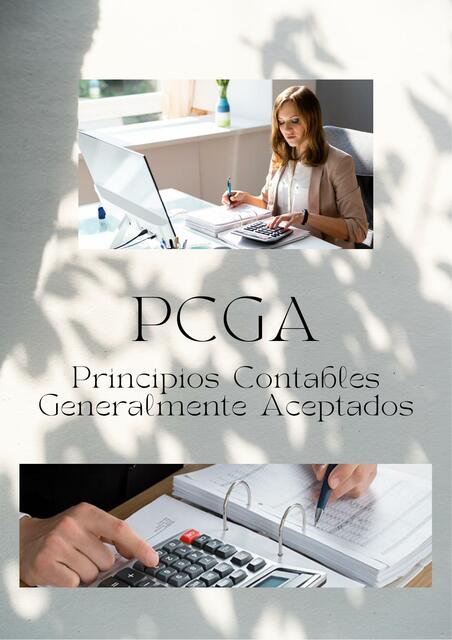 PCGA Principios y ejemplos