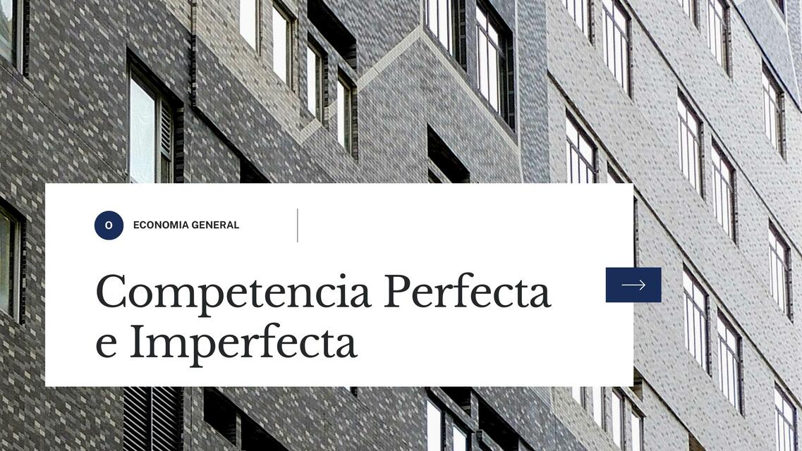 Competencia Perfecta e Imperfecta