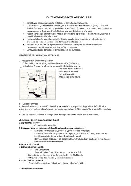 DERMATOLOGIA TEMAS RESUMENES