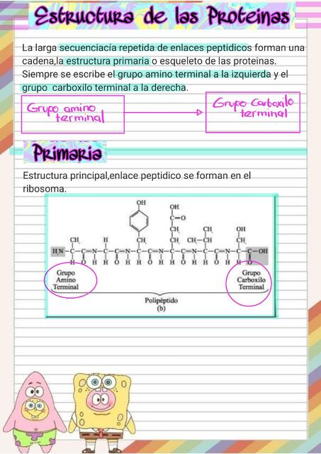 Estructura de las Proteinas