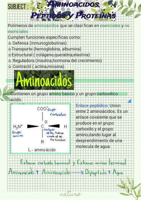 Proteínas