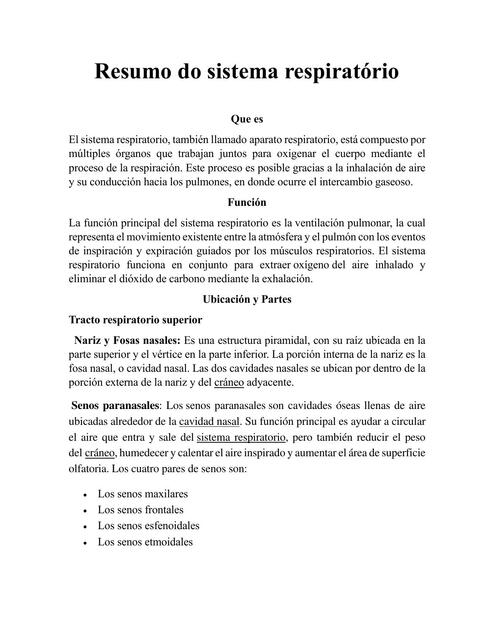 Sistema respiratorio