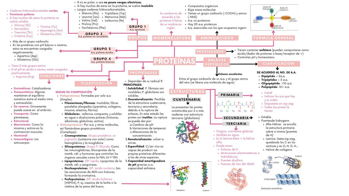 Proteínas