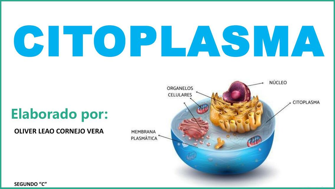 CITOPLASMA