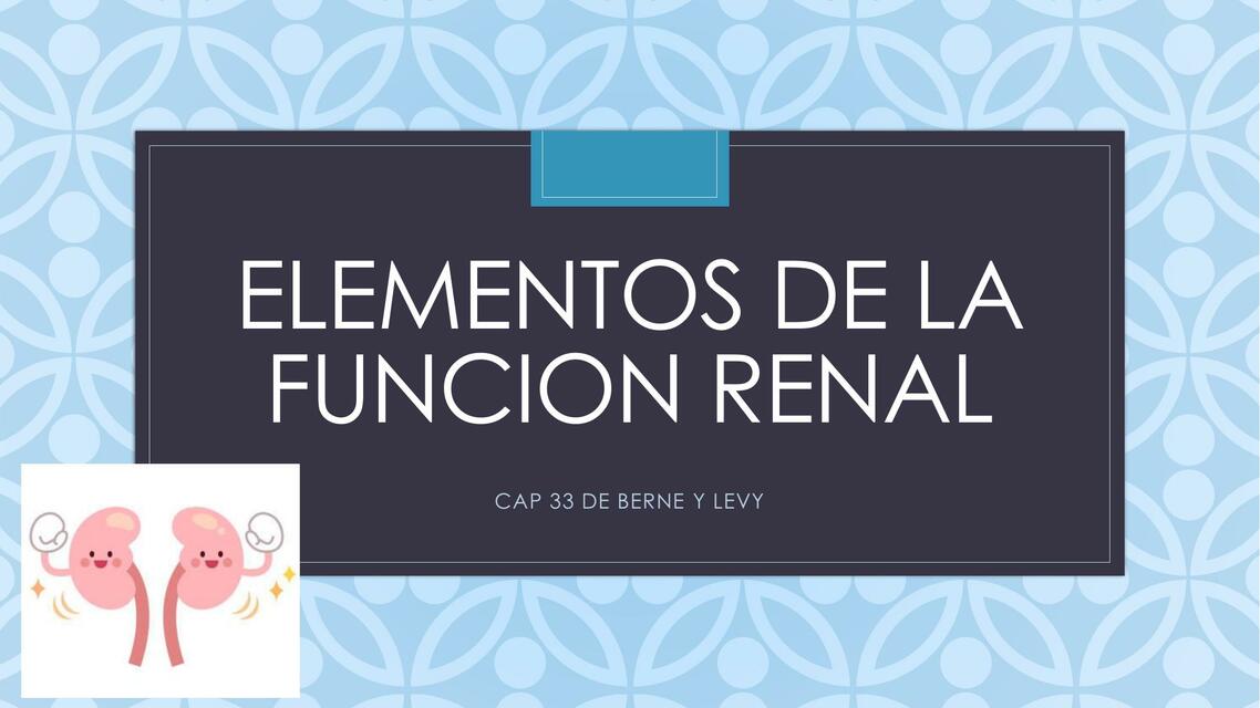 ELEMENTOS DE LA FUNCION RENAL CAP 33 Carlos uDocz