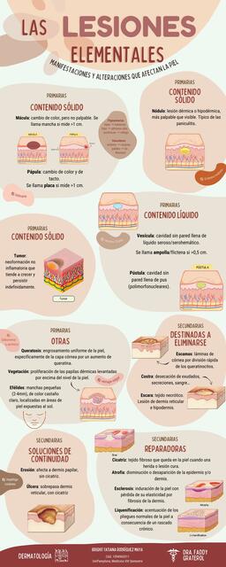 lesiones-elementales-de-la-piel-brighit-tatiana-rodr-guez-maya-udocz