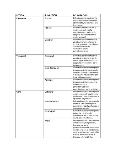 Delimitaciones Anatómicas