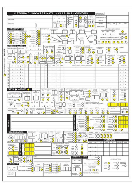 Historia clInica perinatal CLAP SMR Inicio