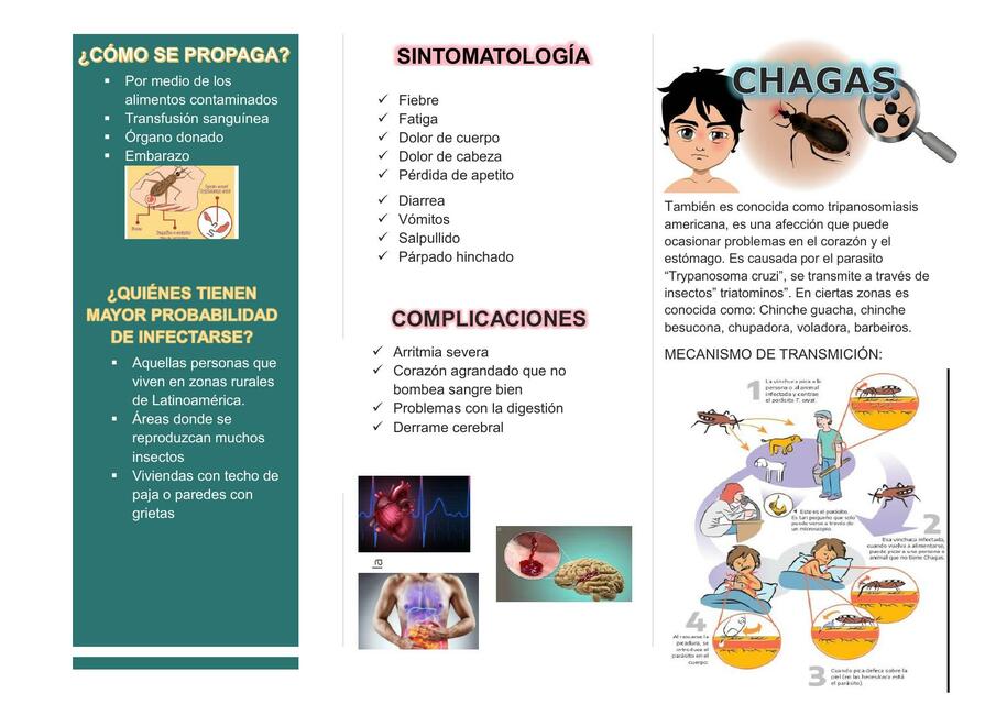 ENFERMEDAD DE CHAGAS