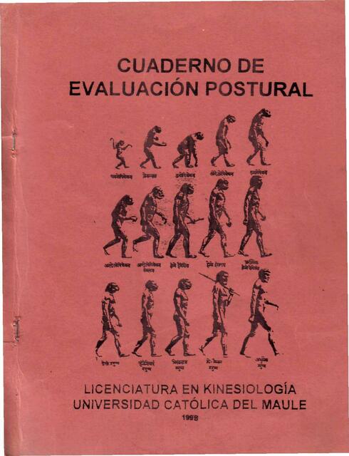 Guía de evaluación postural