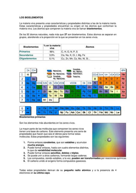 LOS BIOELEMENTOS