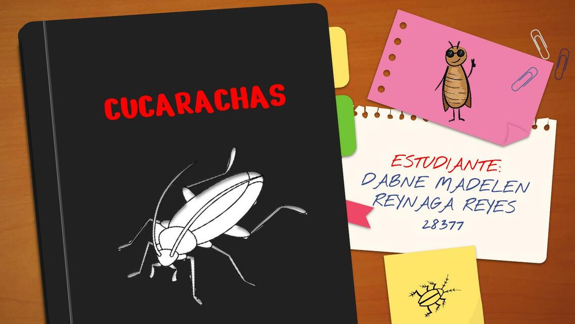 cucarachas