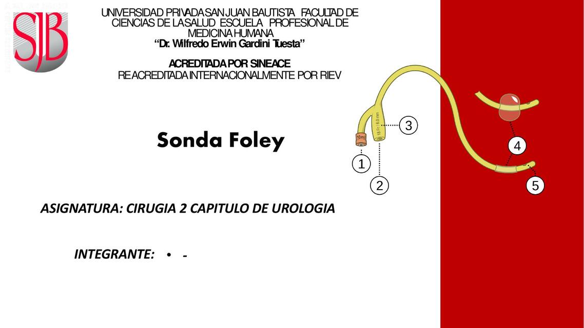 Sonda Foley 