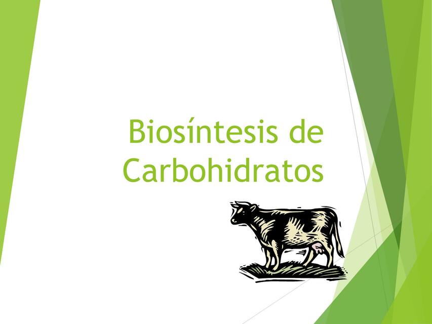 Biosíntesis de carbohidratos