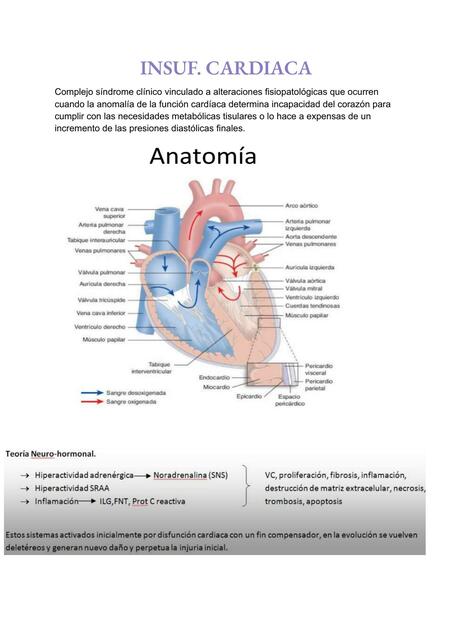 Insuficiencia Cardiaca 