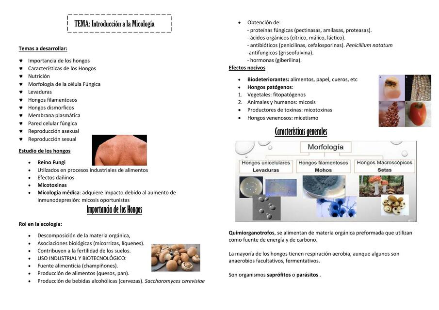 Introducción a la Micología