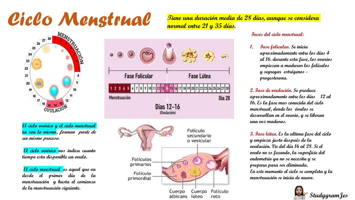 Ciclo Menstrual Menstruación Ciclo Sexual Femenino Udocz 6970