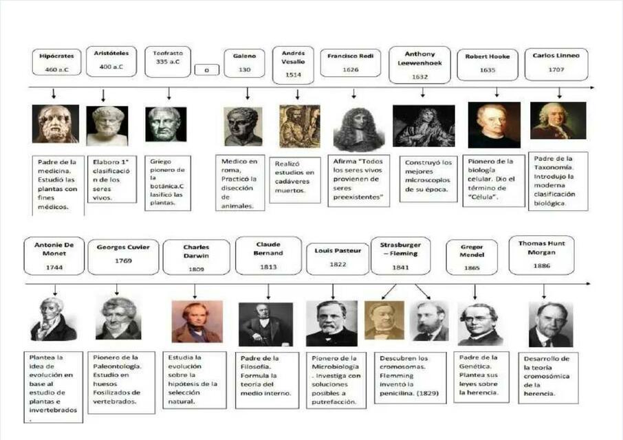 Linea Del Tiempo De La Biologia Hasta El 2019 www.udocz.com