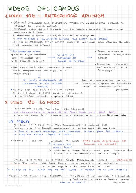 Resumen de VIDEOS de antropología