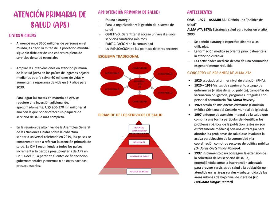 SALUD PÚBLICA 2DA UNIDAD RESUMEN USMP