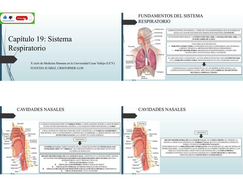 CAPÍTULO 19 SISTEMA RESPIRATORIO pptx