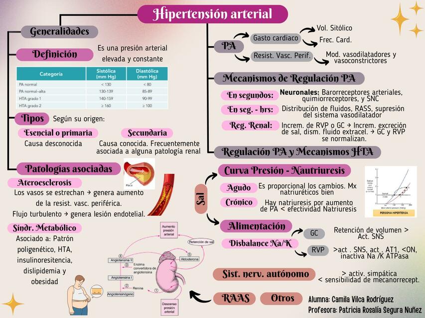 Hipertensión arterial esquema