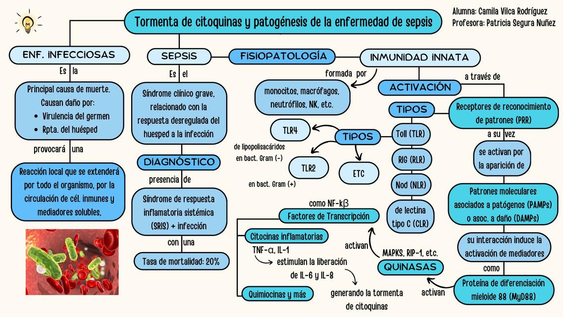 Tormenta de citoquinas y sepsis esquema