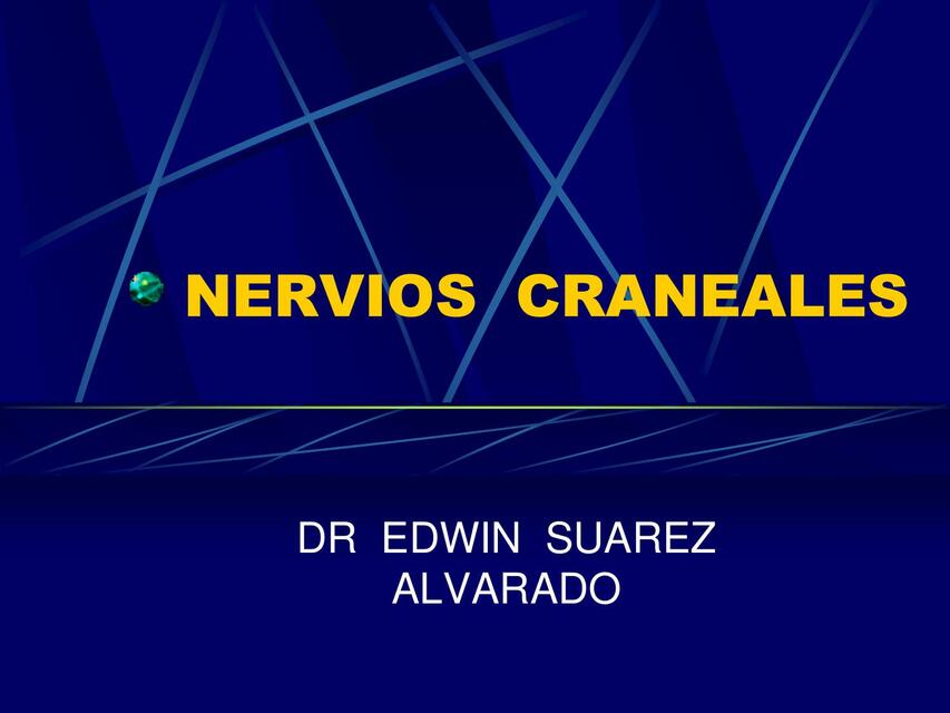 Nervios Craneales 