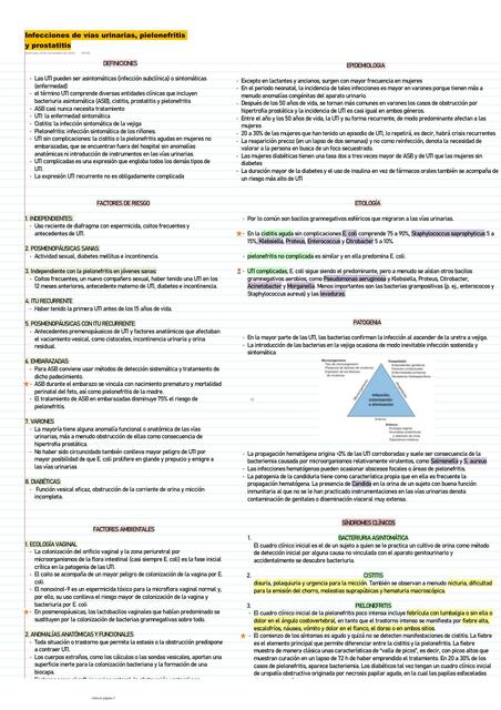 Infecciones de Vías Urinarias, Pielonefritis y Prostatitis 