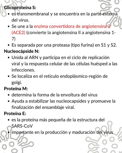 Glicoproteína S 