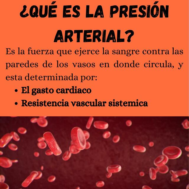 ¿Qué es la Presión Arterial?