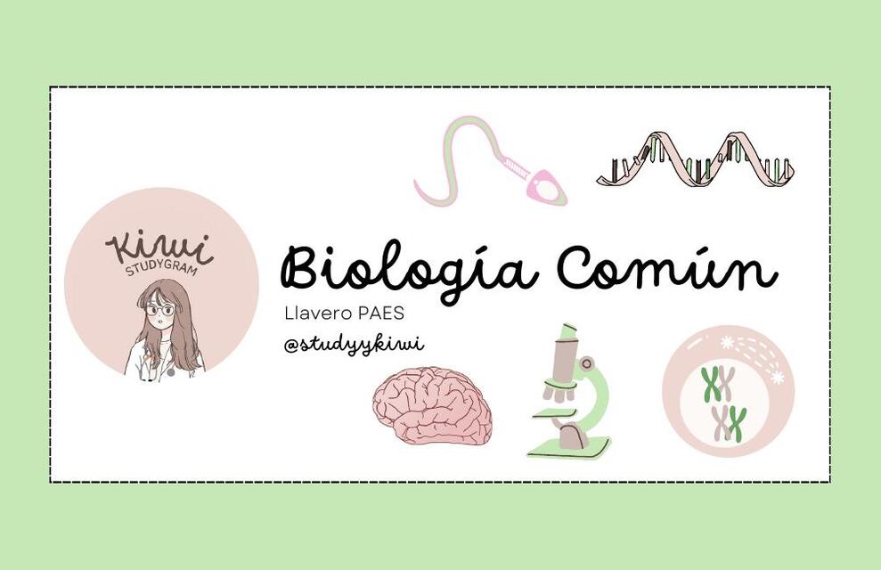 Biología comun flashcards