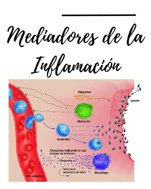 Mediadores de la Inflamación