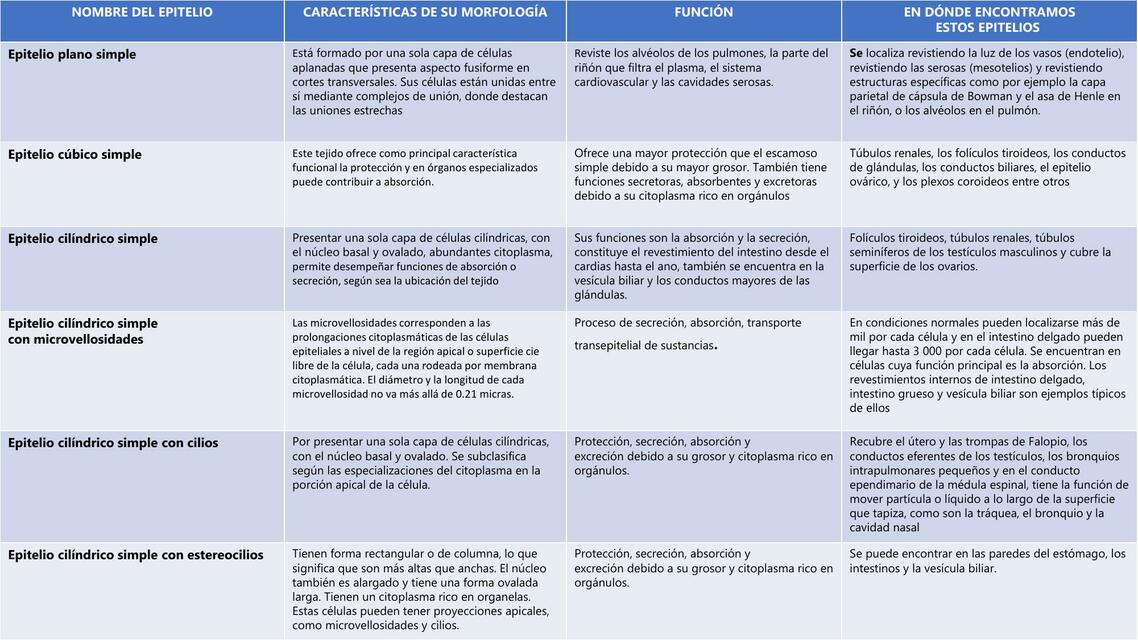 Tabla Sobre Epitelios- Histología