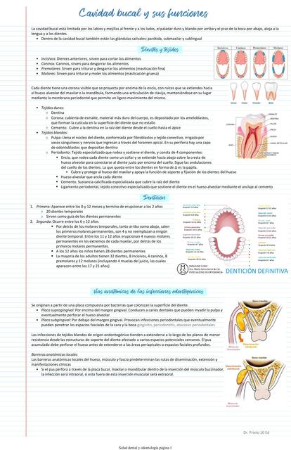 Cavidad bucal y sus funciones