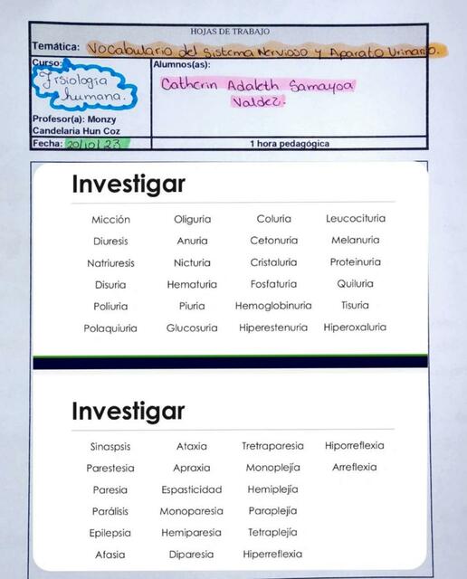 Vocabulario sistema nervioso