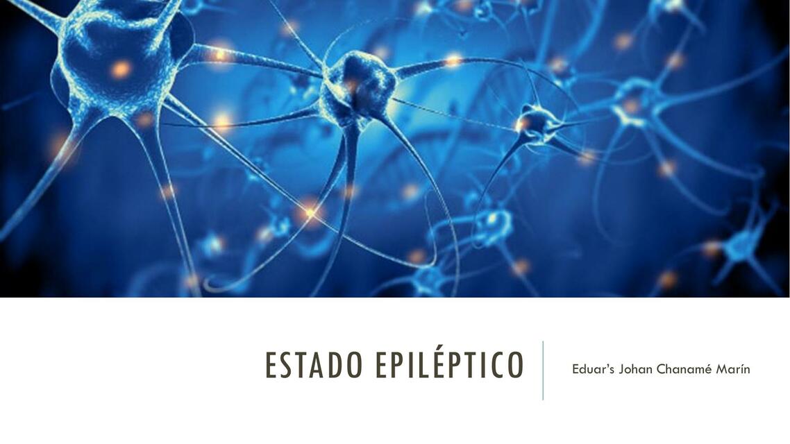 Estado epiléptico