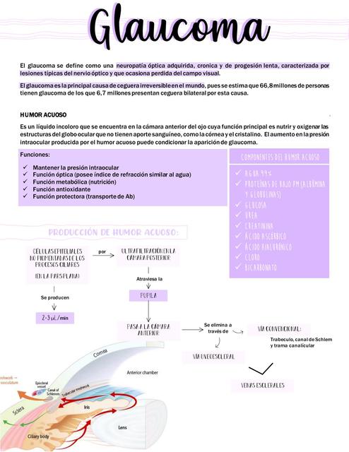 GLAUCOMA resumen