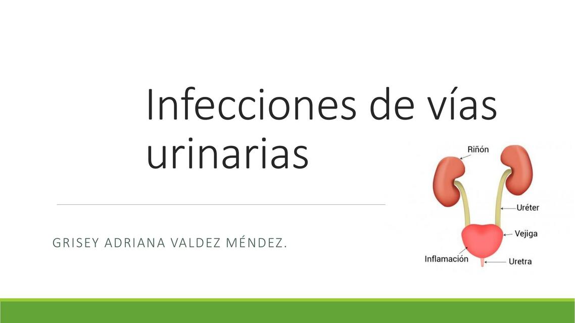 Infecciones de Vías Urinarias 