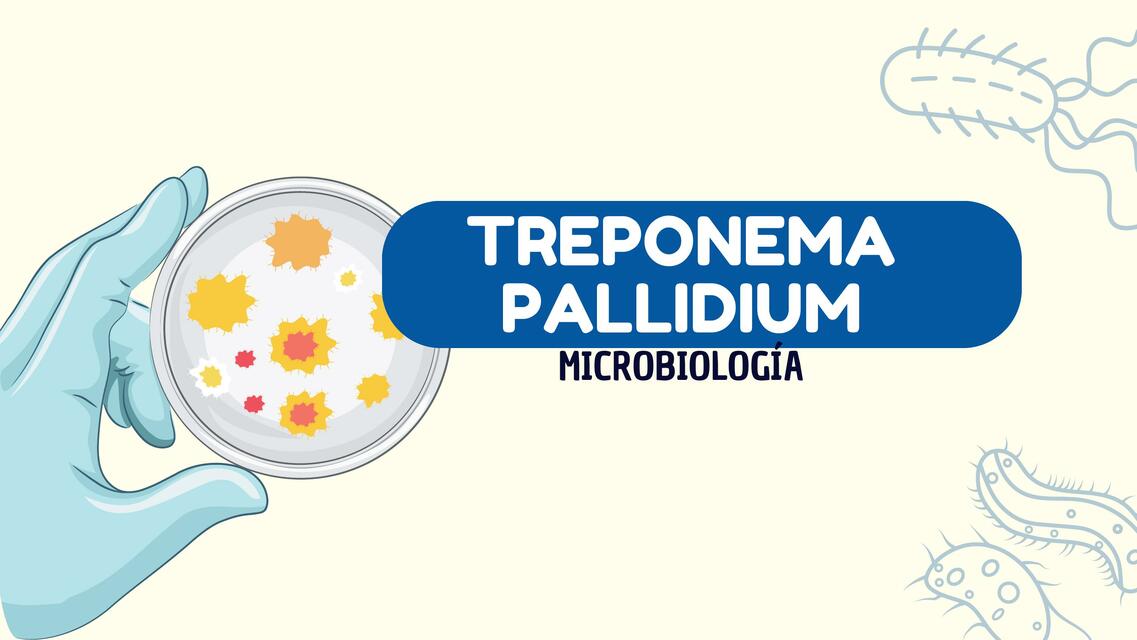 Treponema Pallidium