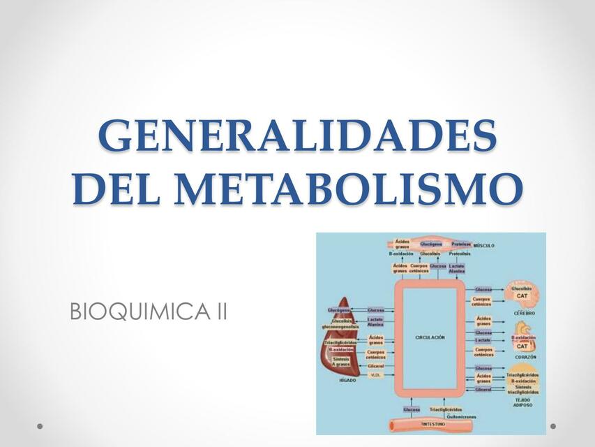 Diapositivas bioquímica 2